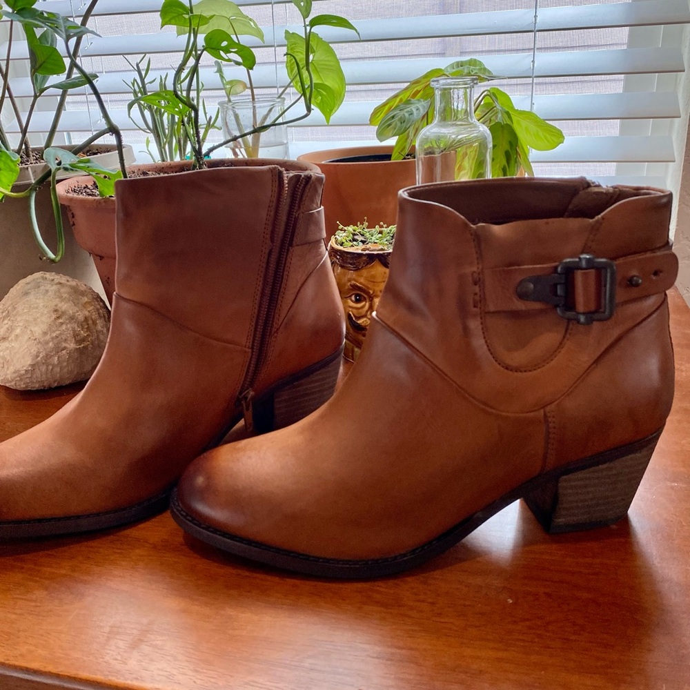 Earth Brown Leather Buckle Ankle Bootie Sz 9W West Riverton